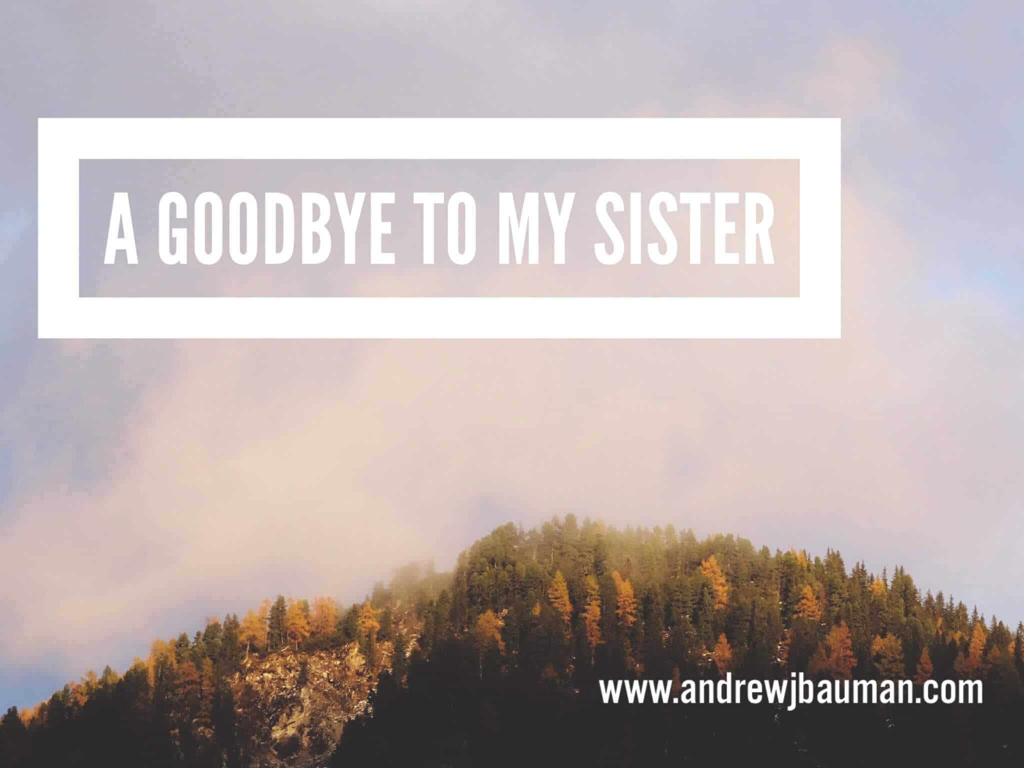 a-goodbye-to-my-sister-andrew-j-bauman