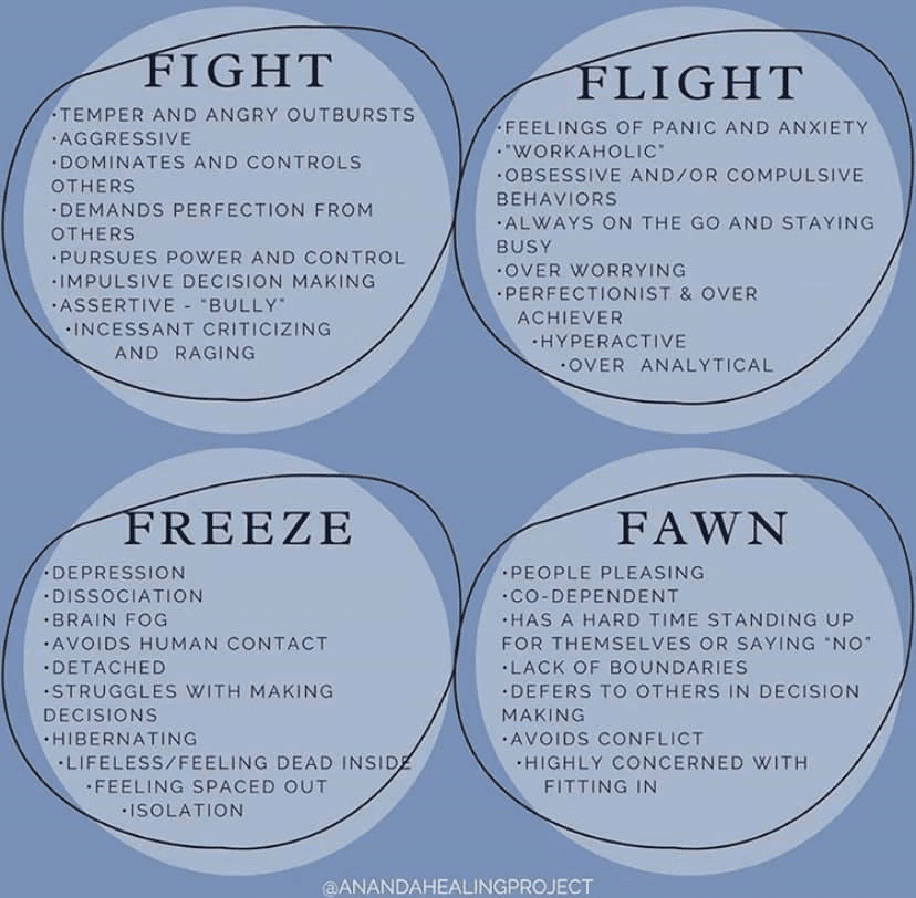 Fight Flight Or Freeze Worksheet