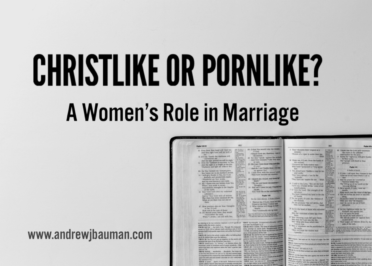 Christlike or Pornlike? A Christian Womans Role in Marriage picture